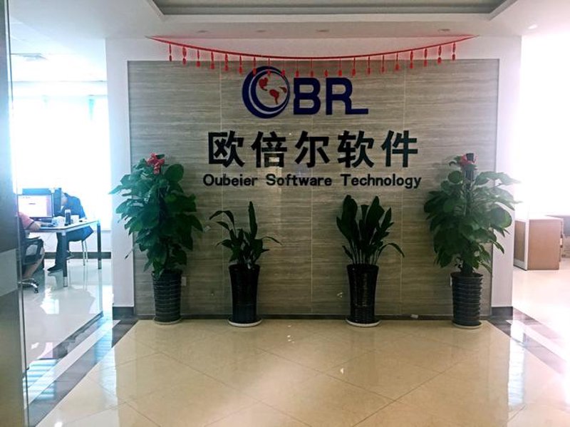 北京软件开发：案例分析与经验分享